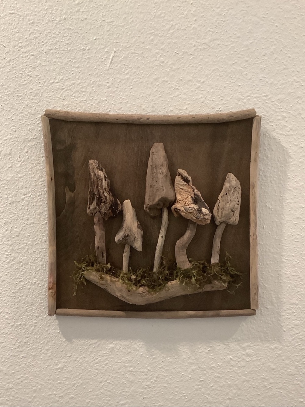 Driftwood Art , Driftwood Mushrooms, Mushroom Art, Driftwood Coastal Decor